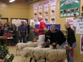 Uttag av  Bäst in Show