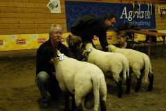 2007 Suffolk