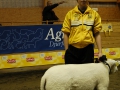 bild-162