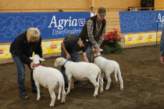 2008 Dorset