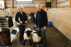 2008 Suffolk