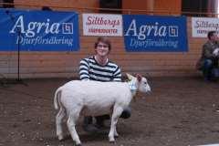 2010 Pris