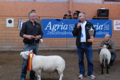 2010 Texel