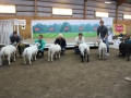 img_3344