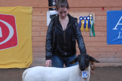 2010 Suffolk