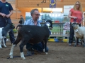 Bäst in Show 2016