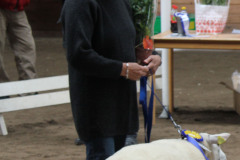 BIS 2011