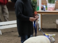 Best in Show 2012 Hulebäckseröd