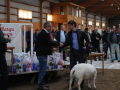 Best in Show Johannelund
