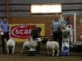 Best in Show 2012