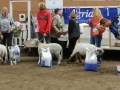 Bäst in Show 2012