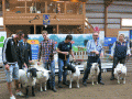 Best in Show 2015