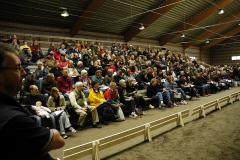 2007 Folk 