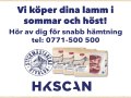 HKSCAN