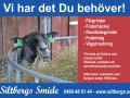 Siltbergs