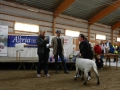 2012 KLS Hagby   EdW