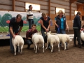 Klass 1 Texel