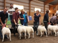 Klass 1 Texel