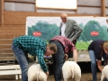 Klass 2 Texel