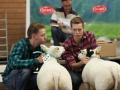 Klass 2 Texel