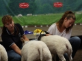 Klass 2 Texel