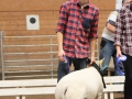 Klass 3 Texel