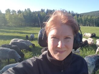Jeanette Eriksson
